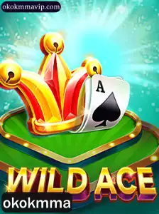 Explorando WildAce: Um Mergulho nas Regras e Dinâmica do Jogo